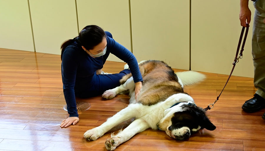 Vol.70 習志野市民プラザ セラピードッグ派遣 | Zoetis