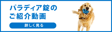Palladia 15 mg 犬用フィルムコーティング錠 20錠 パラディア(Palladia) 犬用の個人輸入はベストドラッグへ