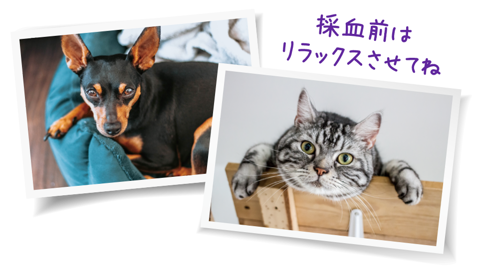 使い方 | アルファトラック3 | Zoetis 使い方 | アルファトラック3 | Zoetis