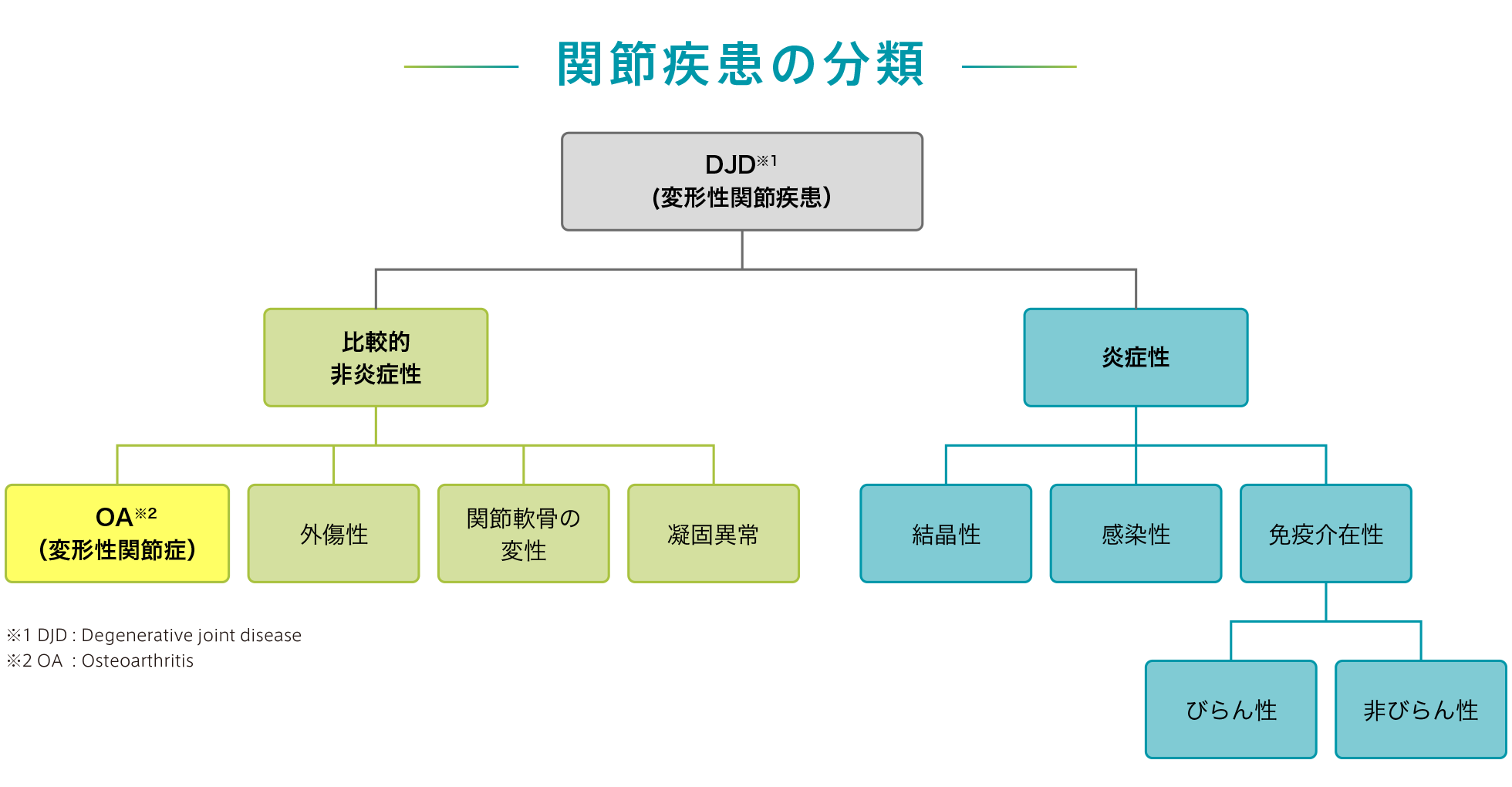 犬の遺伝性 骨・関節疾患 楽天市場】犬の遺伝性 骨・関節疾患の通販