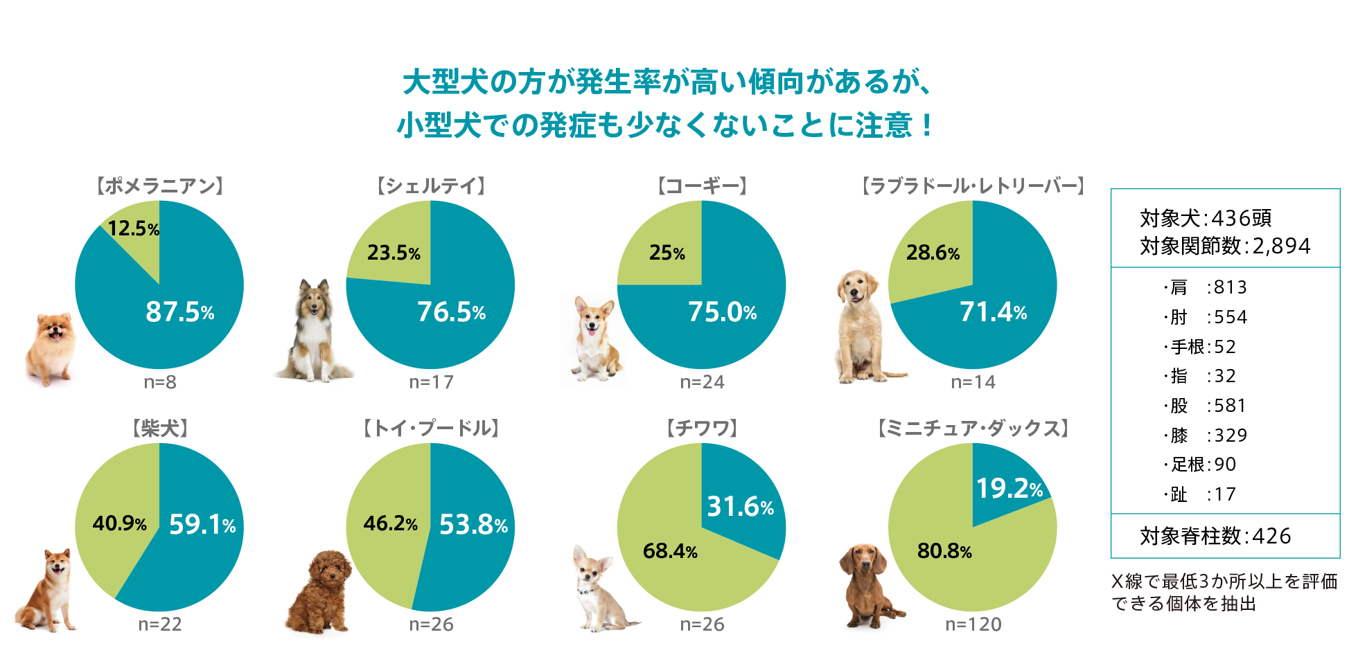 犬の遺伝性 骨・関節疾患 楽天市場】犬の遺伝性 骨・関節疾患の通販